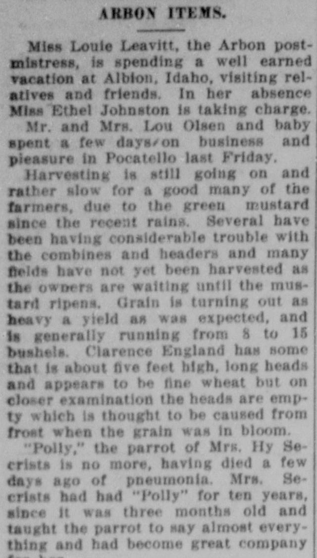 The opening of the article as printed in the American Falls Press, September 7, 1917, page 8. Library of Congress, Chronicling America.