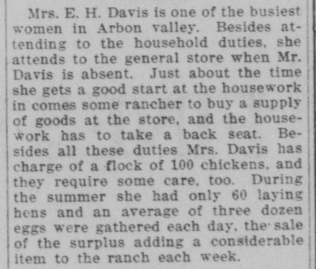 The article as printed in the American Falls Press, November 6, 1917, page 3. Library of Congress, Chronicling America.