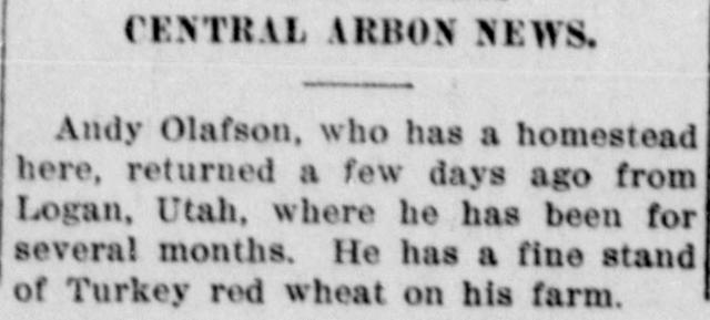 The opening of the article as printed in the American Falls Press, June 3, 1915, page 4. Library of Congress, Chronicling America.