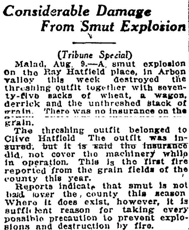 The article as printed in the Pocatello Tribune, August 10, 1924, page 2. Marshall Public Library, Pocatello.