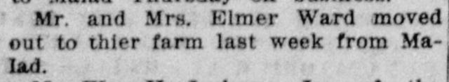 The article as printed in the American Falls Press, May 21, 1920, page 2. Library of Congress, Chronicling America.