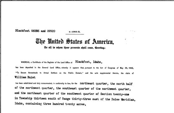 Homestead patent to William Buist, 1916