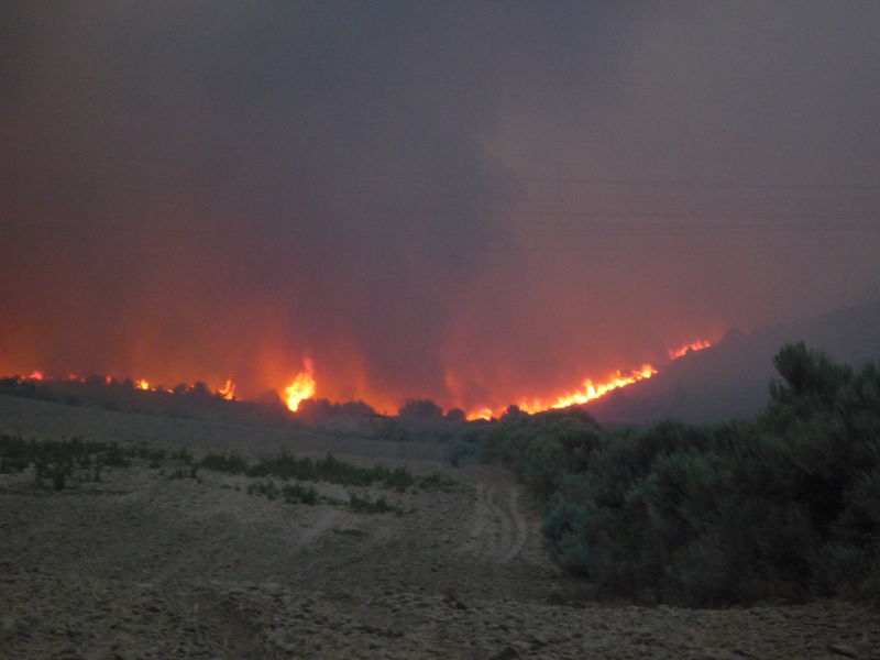 Arbon Fire 2010 · photograph 70