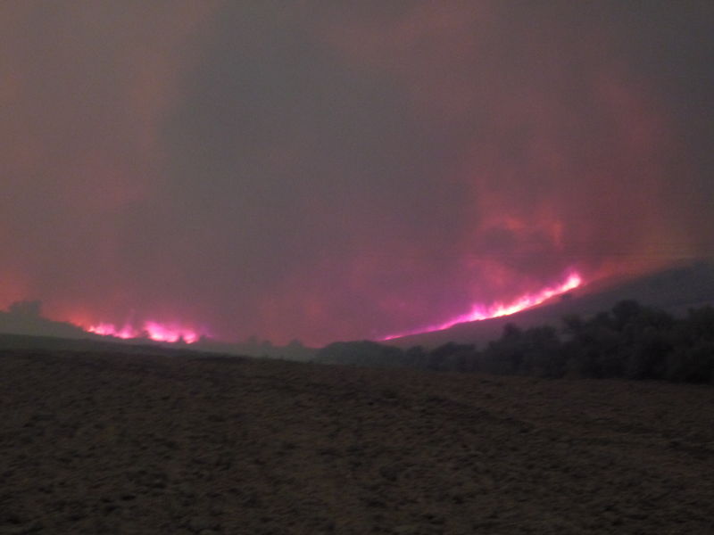 Arbon Fire 2010 · photograph 75
