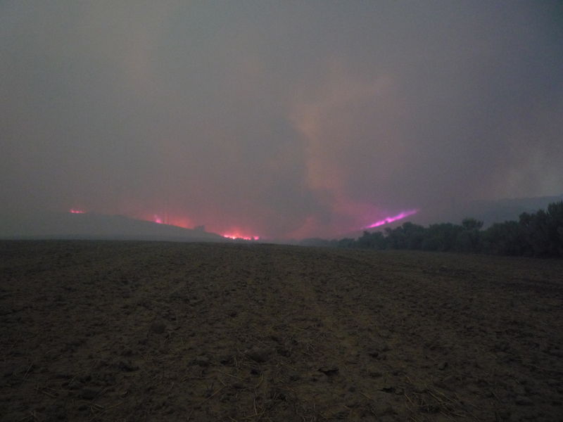 Arbon Fire 2010 · photograph 76