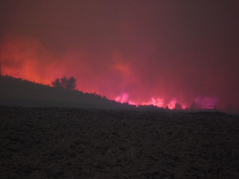 Arbon Fire 2010 · photograph 77