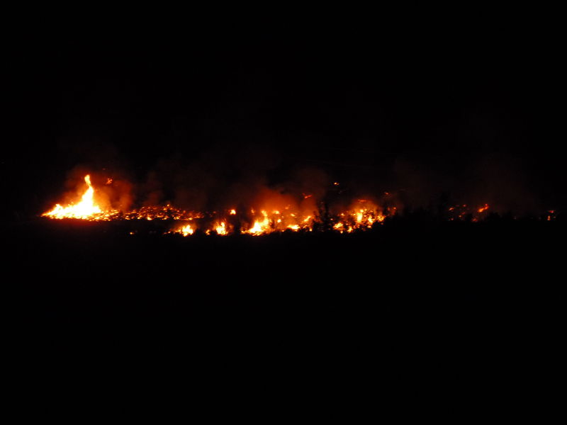 Arbon Fire 2010 · photograph 1