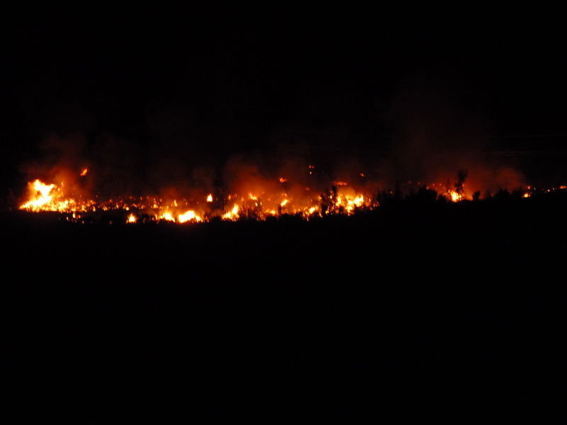 Arbon Fire 2010 · photograph 3