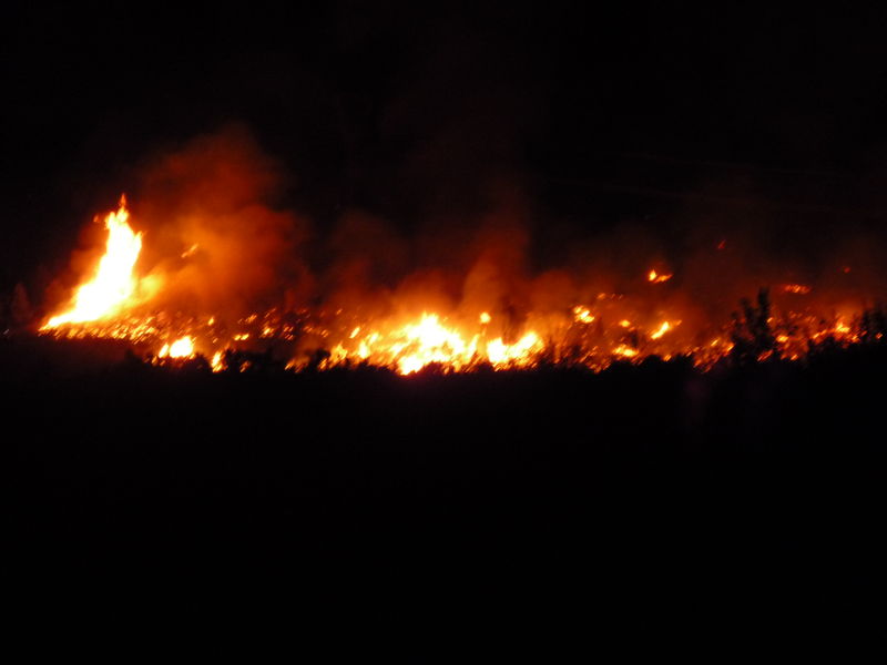 Arbon Fire 2010 · photograph 4