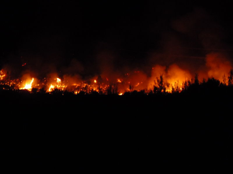 Arbon Fire 2010 · photograph 5