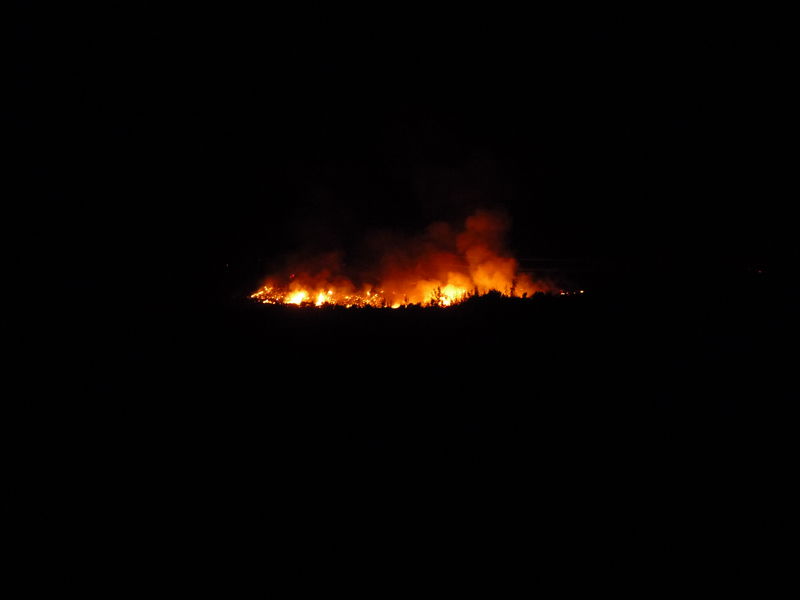 Arbon Fire 2010 · photograph 6