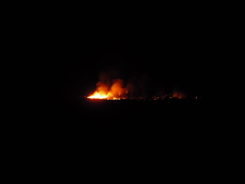 Arbon Fire 2010 · photograph 9