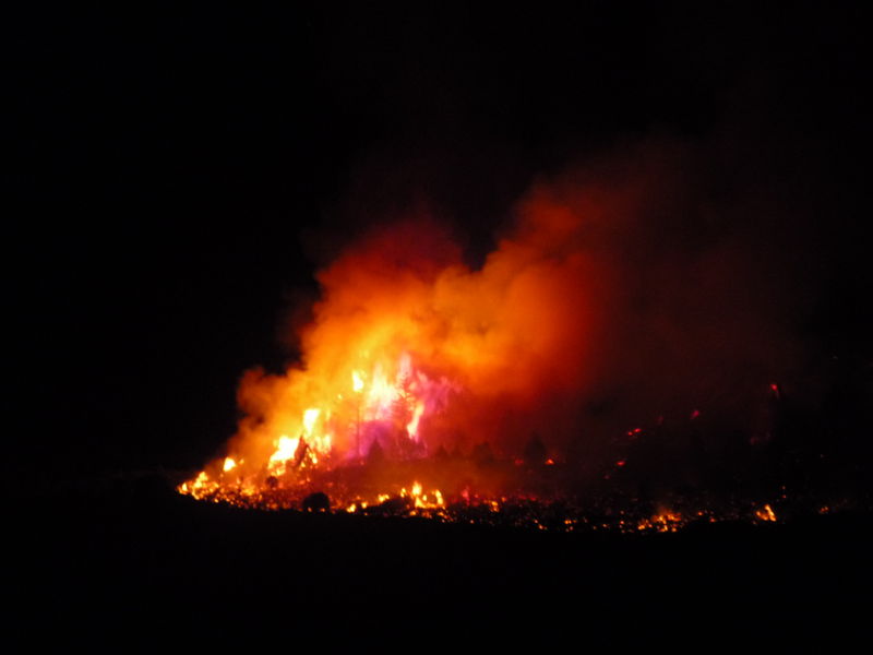 Arbon Fire 2010 · photograph 10
