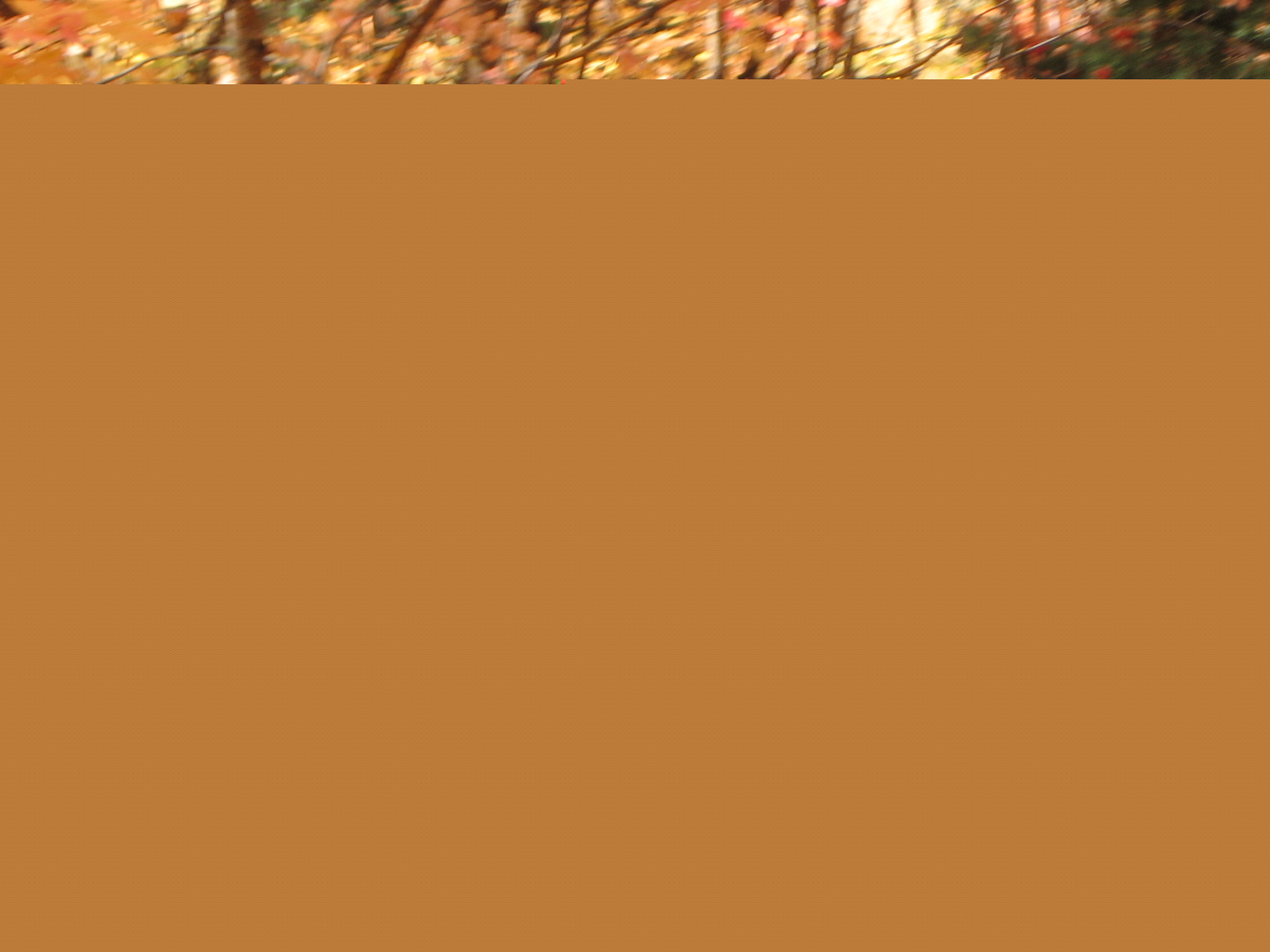 20051002_0053