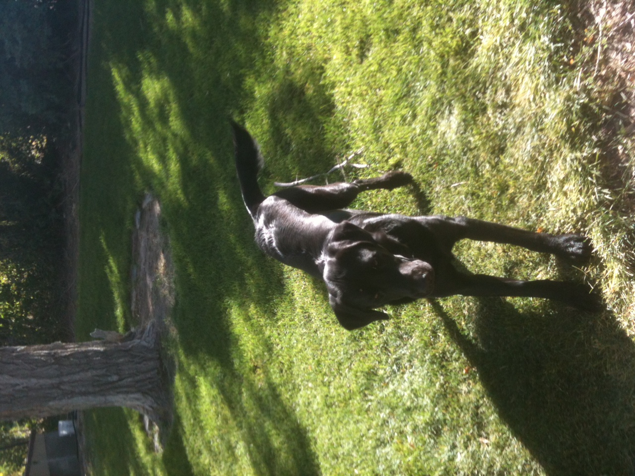 photo (5)