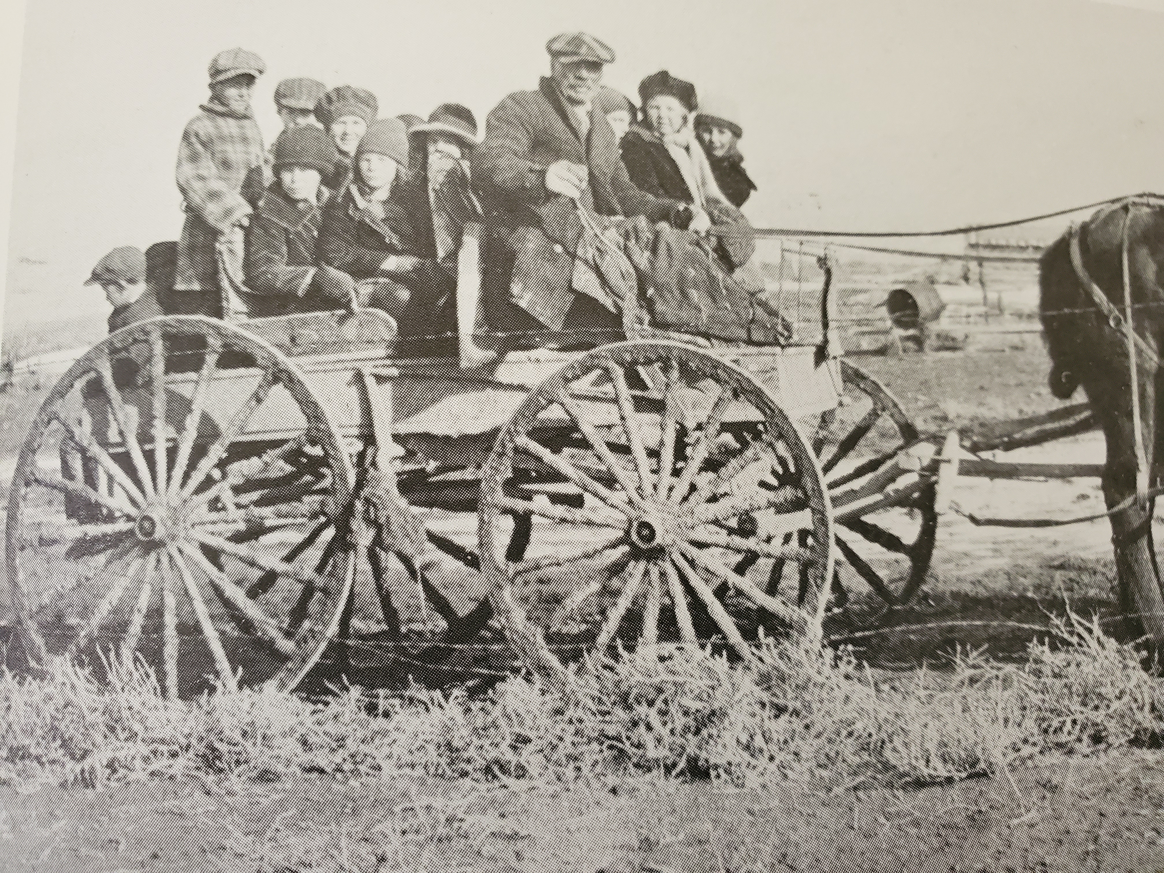 Pauline school bus